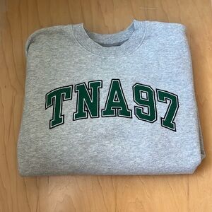 Aritzia Crewneck TNA worn once